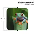 thumbnail image 2 of Honeii Red-Eyed Tree Frog Print Leather Coaster Set of 4, Ideal for Safeguarding Your Furniture from Drinks Spills and Effortless Cleanup-Square, 2 of 6
