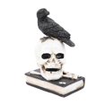 thumbnail image 1 of Skeleton Figurine Scary Rich Details Vibrant Colors Strong Resin Stable Skull Figurine for Halloween Decoration Crow On Skull, 1 of 5