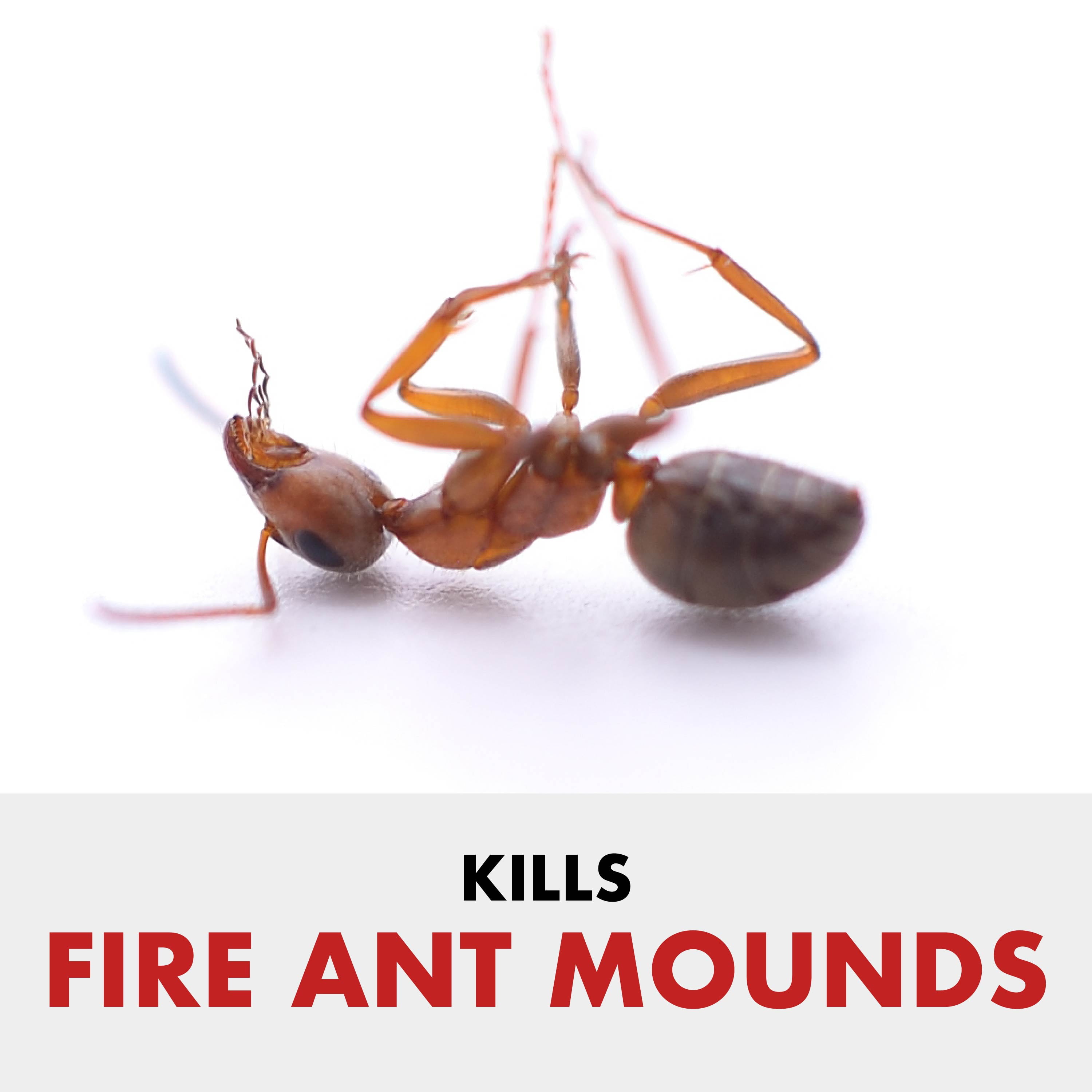 Spectracide Fire Ant Shield Yard Protection Granules, 10 Pound