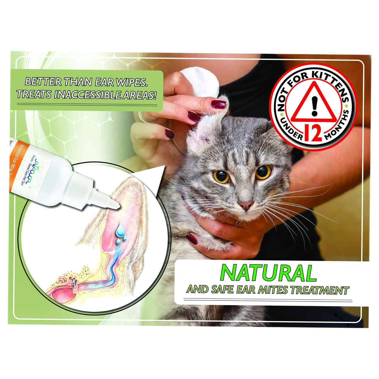 safe ear mite treatment for cats
