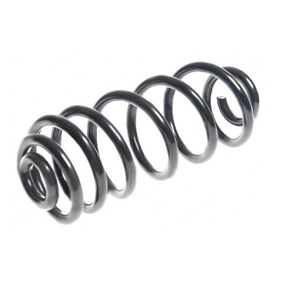 Rear Coil Spring - Compatible with 2007 - 2013 BMW X5 3.0L 6-Cylinder 2008 2009 2010 2011 2012