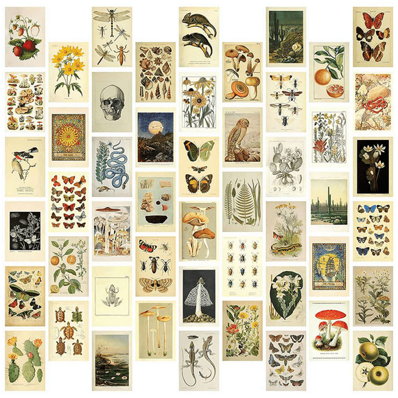 Vintage Aesthetic Wall Collage Kit - 100 Mini Botanical Collage Art Posters (4X6Inch), for Photo Wall