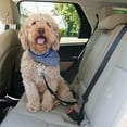 thumbnail image 5 of Dog Seat Belt BungeTECH Pet Car Safety Belt For All Dog Ages Sizes Durable Nylon Comfortable Shock Attenuation Dog Restraint, 5 of 6