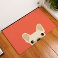 thumbnail image 1 of Non Slip Indoor/Outdoor Doormats Home Entrance Cute Dog Pattern Floor Rug Carpet Door Mat Bath Kitchen Mats, 1 of 2