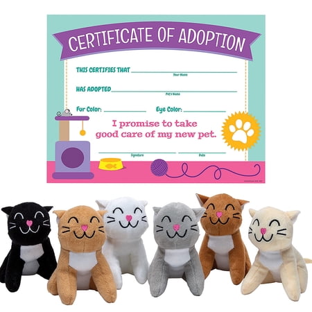 Fun Express 4 1/2" x 8 1/2" x 11" Stuffed Cat & Certificate Adoption Kit for 12