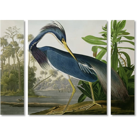 Trademark Fine Art "Louisiana Heron" Canvas Art by John James Audubon Three Panel Set