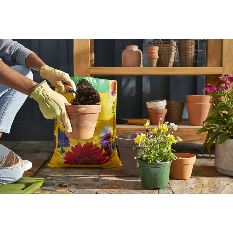 Miracle-Gro Potting Mix 16 qt., 2-Pack, Feeds Up to 6 Months, For Use In  Containers