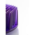 thumbnail image 5 of Tapete Aromatizante PLITEC para Mingitorio Seco Antibacterial Biodegradable 60 Días (12 Pzas) Moras, 5 of 5