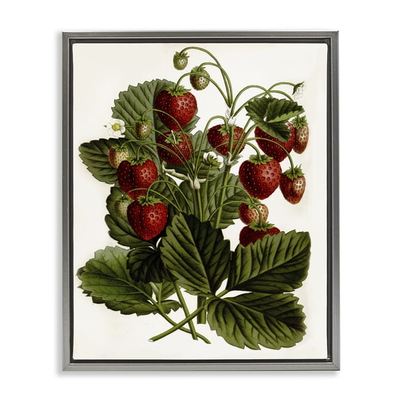 Stupell Industries Strawberry Plant Study Food & Beverage Painting Gray Floater Framed Art Print Wall Art, 17 x 21