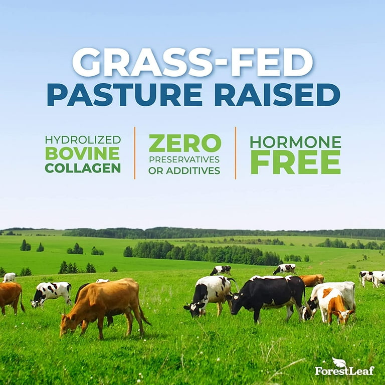 Forest Leaf Hydrolyzed Collagen Peptides Powder Unflavored Protein Powder, 1lb