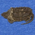 thumbnail image 2 of CafePress - FIN Snapping Turtle... - Cute Infant Baby Football Bodysuit, 2 of 3