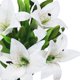 thumbnail image 5 of Xiao Hua Juego de 5 flores de lirio artificiales con un toque realista, ideal para bodas, fiestas, jardines y decoración de oficinas. Flores de lirio artificiales blancas., 5 of 5