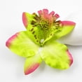 thumbnail image 1 of unbranded 10Ud Clips Para Con Phalaenopsis Decorativas Para Fiestas Y Sesiones Fotográficas, 1 of 5