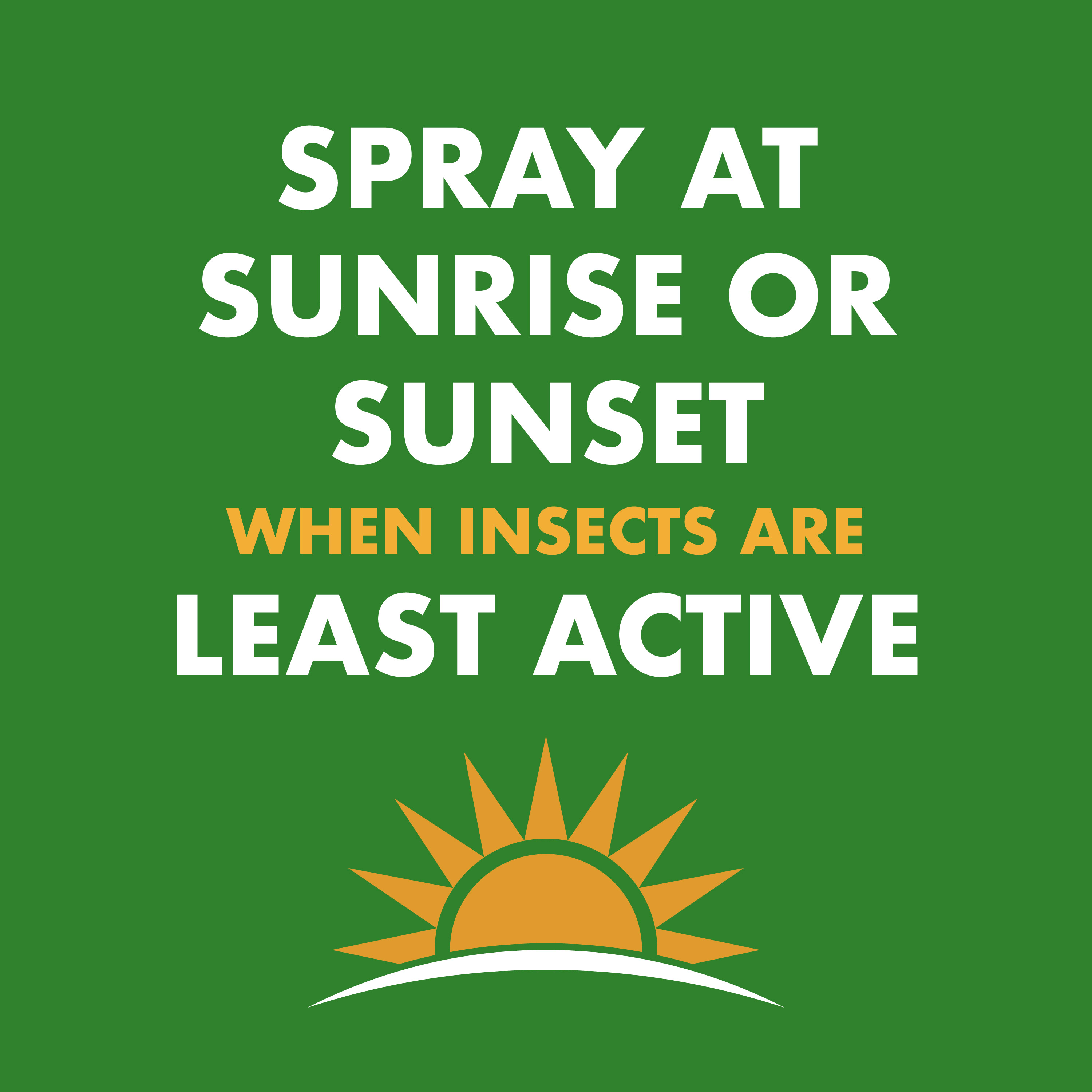 Spectracide Wasp & Hornet Killer Aerosol, 2-Pack photo 6