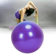 65cm Exercise Ball, Exercise Ball for Yoga,Professional Grade – Anti Burst Exercise Equipment for Home, Balance, Gym, Core Strength, Yoga, Fitness, Desk Chairs,Pregnancy Birthing Ball (Purple)
