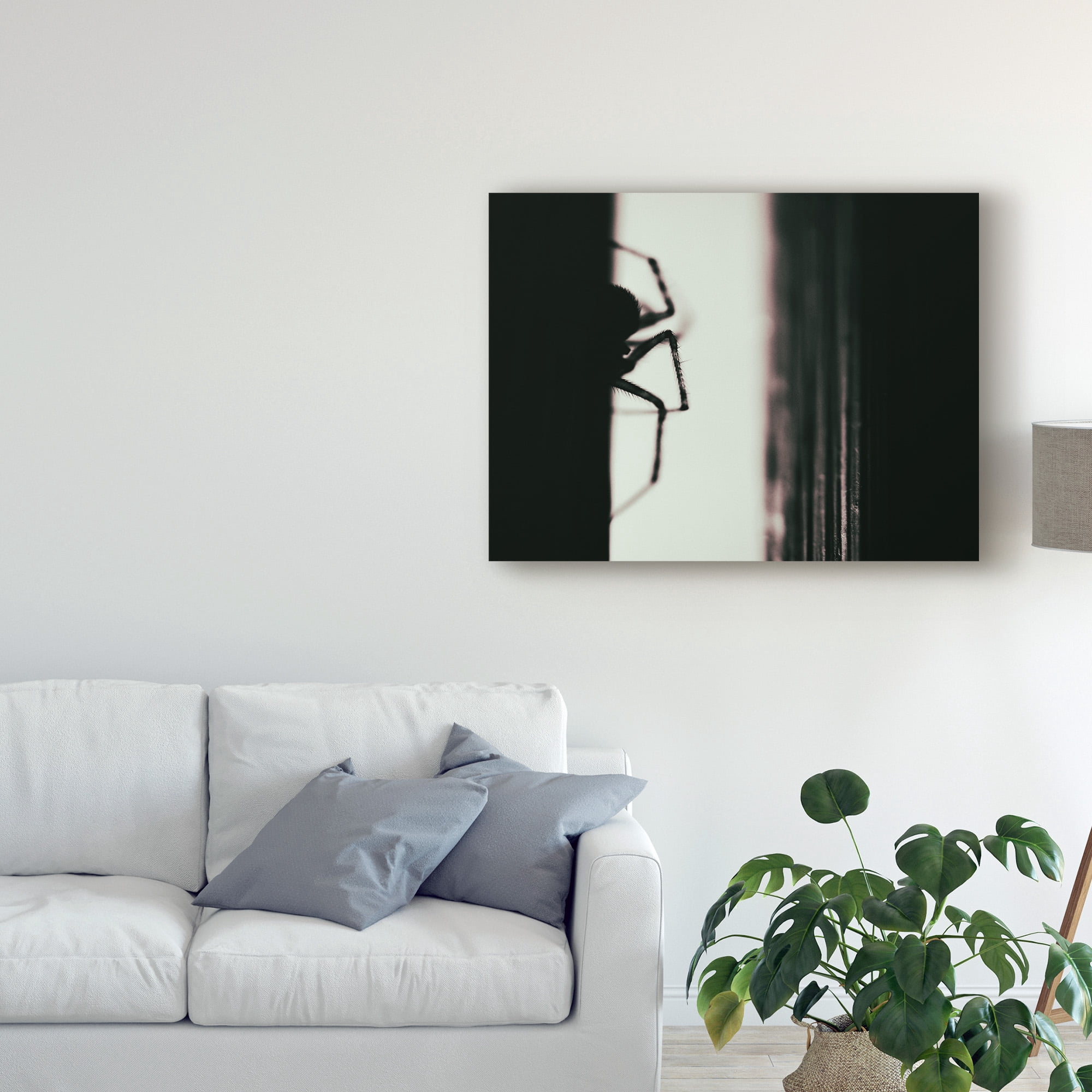 Trademark Fine Art 'Spider 3' Canvas Art by Pixie Pics