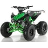125cc ATV Quad Youth 4 Wheeler Adults ATVs Quads Middle Size 4 Wheelers