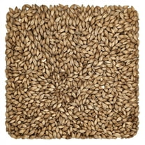 Home Brew Ohio Simpsons Golden Promise Grain 55lb