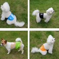 thumbnail image 5 of XS Paquete de 3 pañales para perros machos, bandas lavables para el vientre del cachorro, superabsorbentes y cómodas, 5 of 5