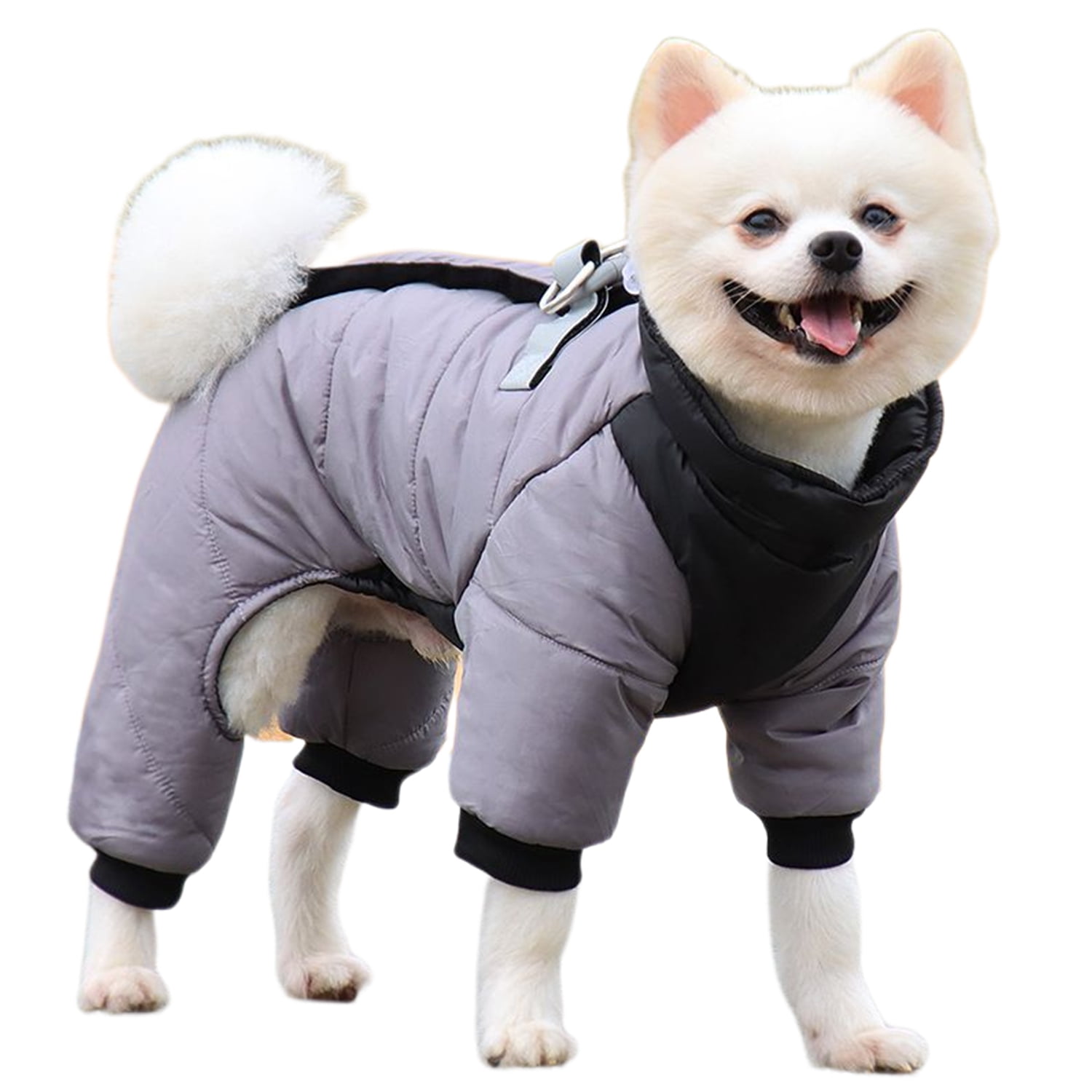 Why Do Dogs Need Coats