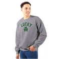 thumbnail image 3 of Saint Patrick's Day Lucky Shamrocks Sweatshirt for Men or Women Brisco Brands S, 3 of 6