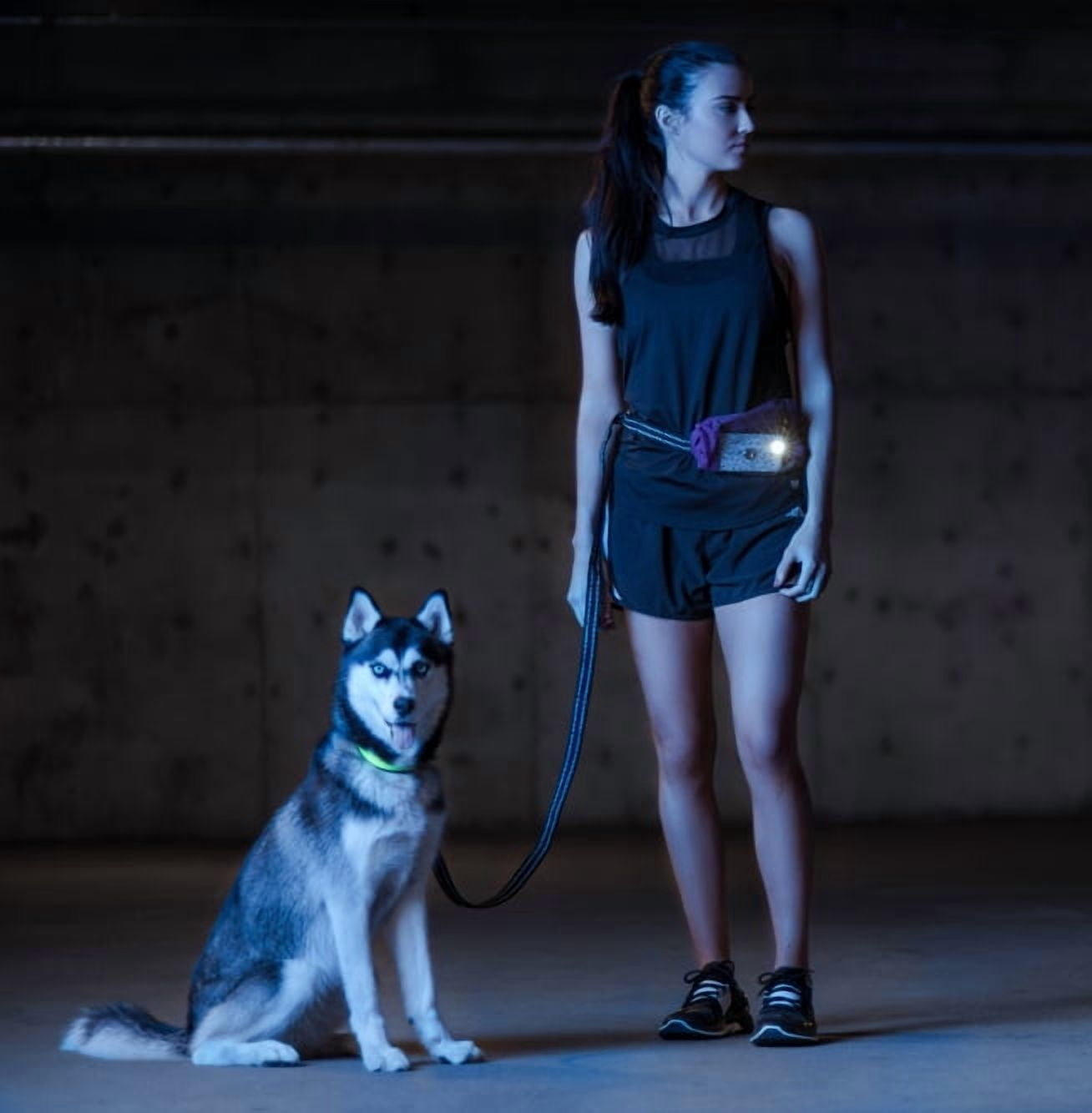 Waist Belt/Hands-Free Leash