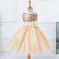 thumbnail image 6 of GYRATEDREAM Little Girls' Sequin Mesh Flower Ball Gown Party Dress Tulle Prom 3-10 Years, 6 of 7