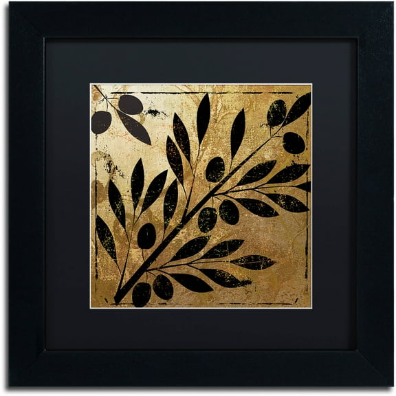 Trademark Fine Art "Bellissima II" Canvas Art by Color Bakery Black Matte, Black Frame