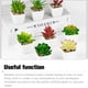 thumbnail image 3 of Plantas artificiales Inteprter suculentas decorativas maceta jardín tipo 4, 3 of 6