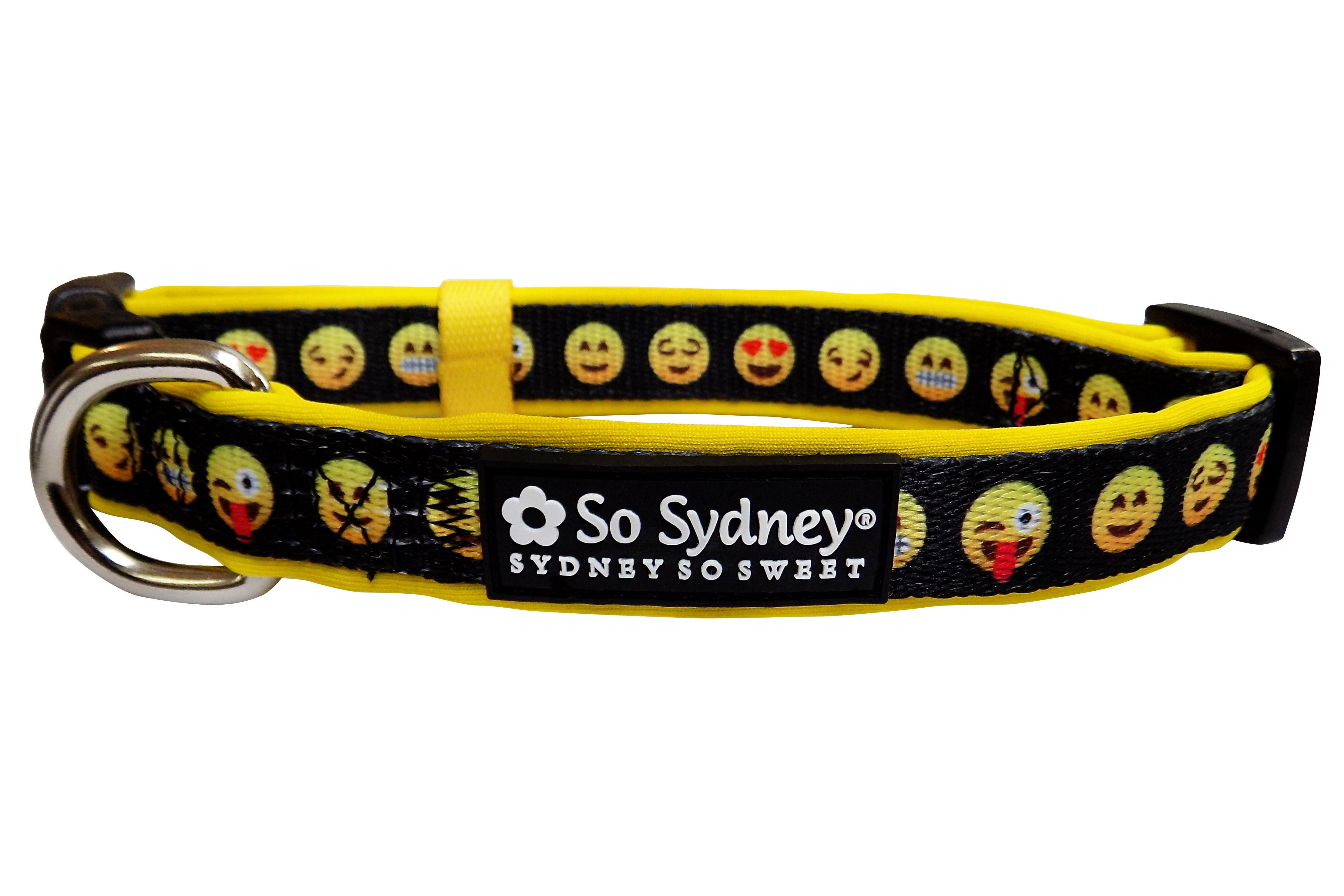 funky dog collars and leashes