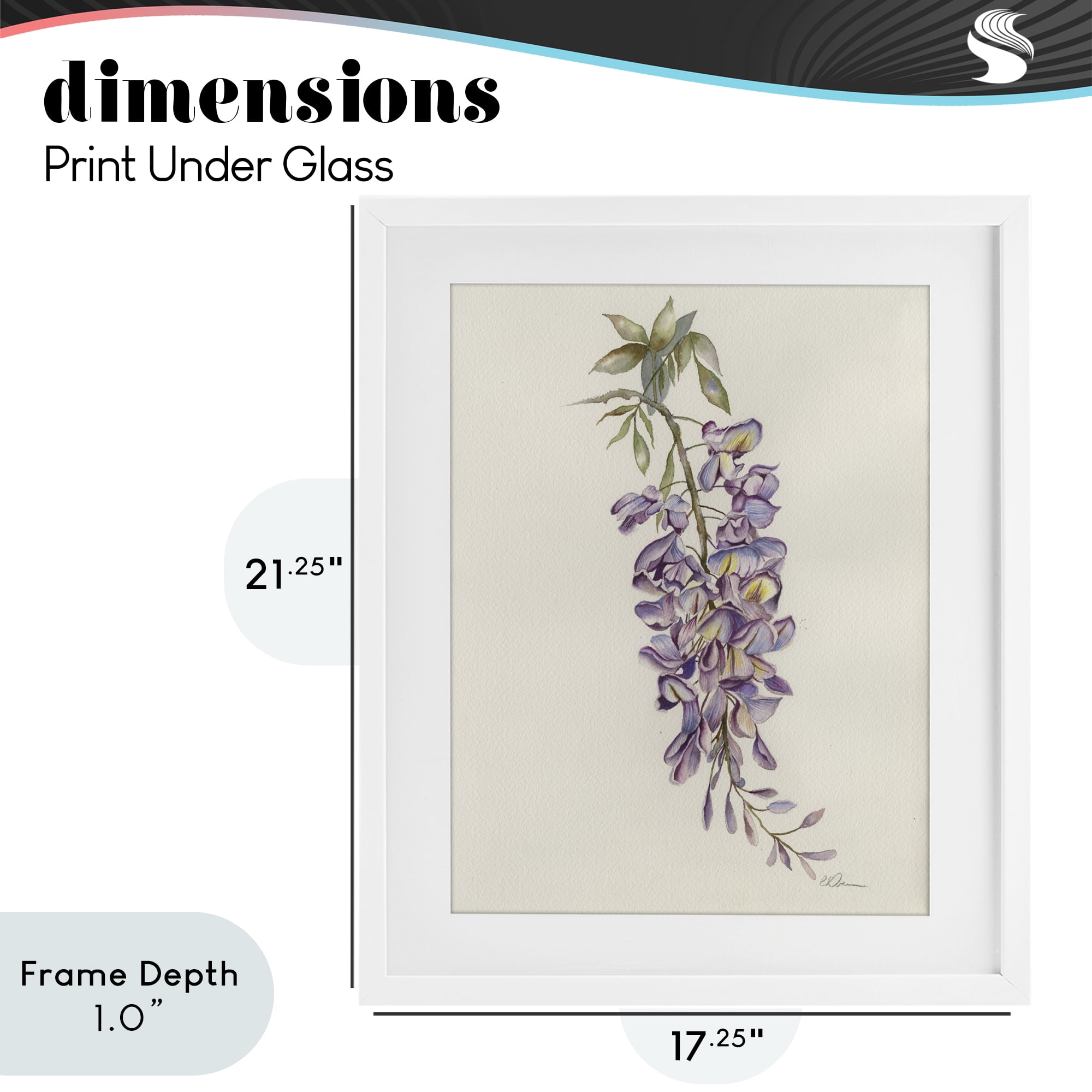 Stupell Industries Delicate Hyacinths Study White Framed Print Under Glass, design by Cady Driver