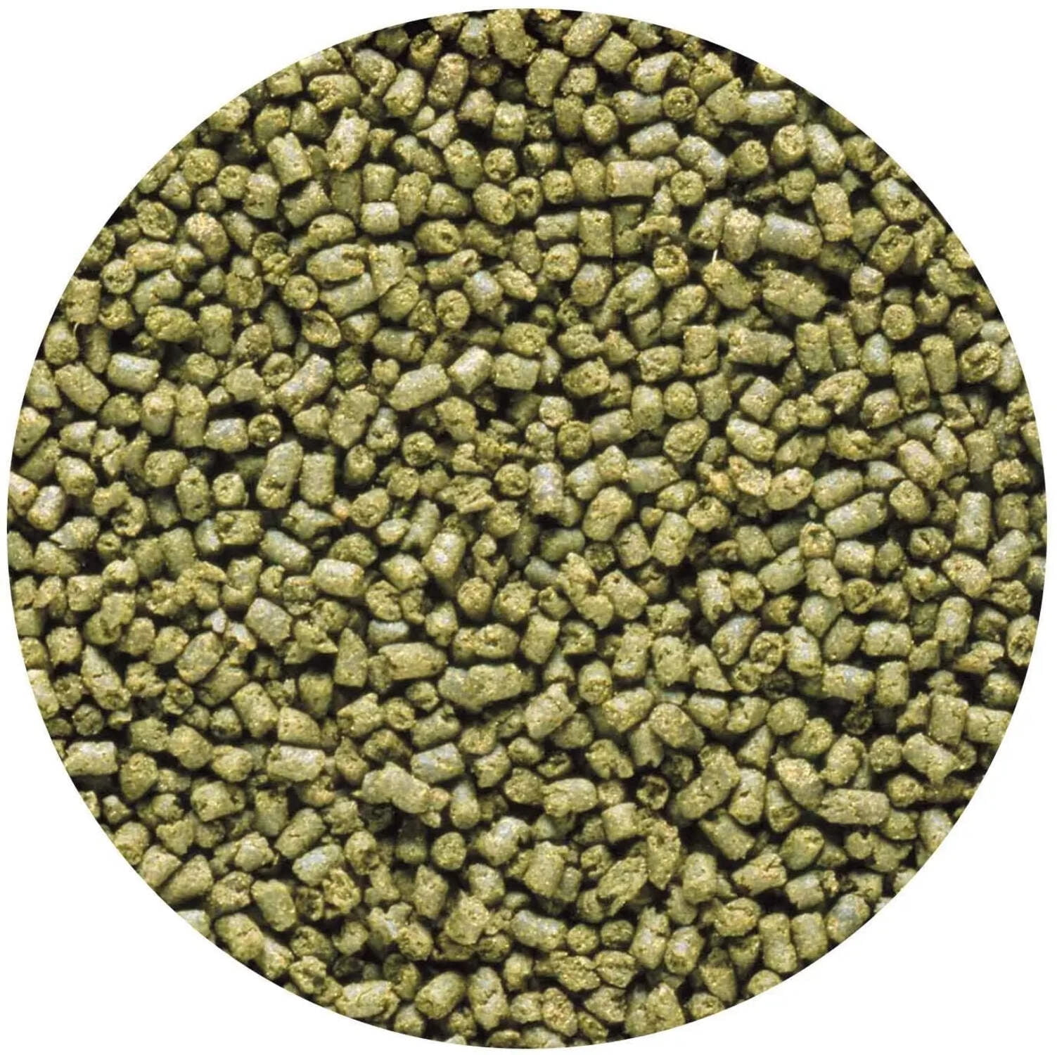 Hikari Saki-Hikari Marine Herbivore MD Sinking Fish Food 3.17 oz. 3-Pack