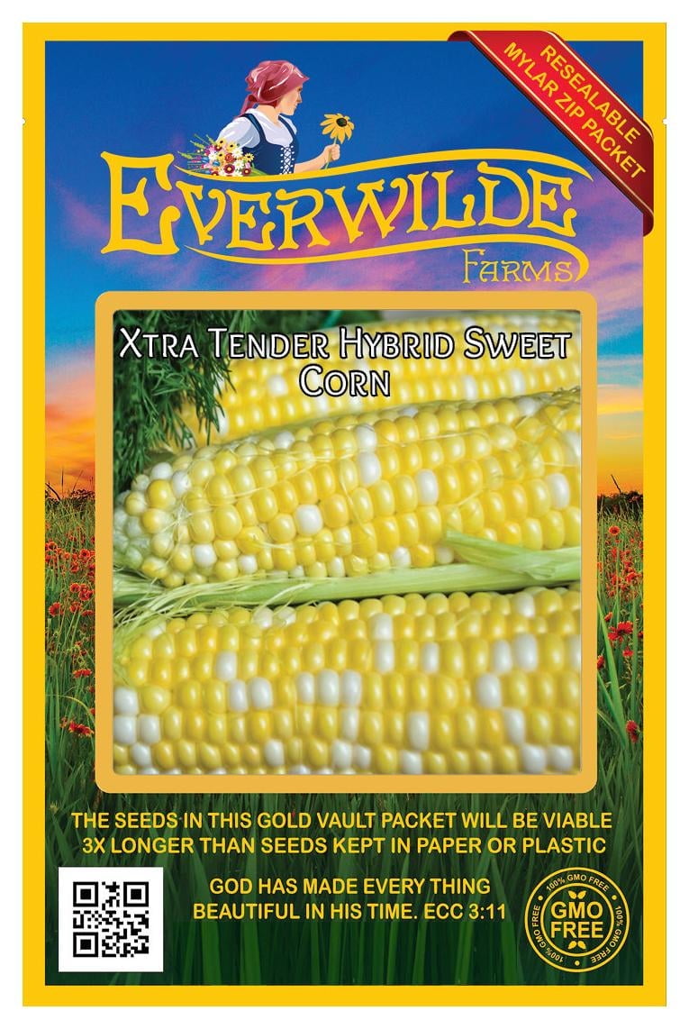 【アディー1300】　極美品　YELLOW CORN 743942b4-88c8-4aa7-ae11-