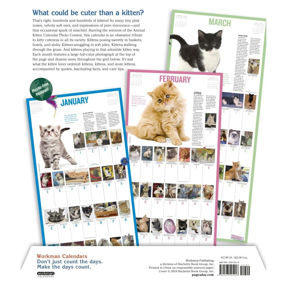 365 Kittens-A-Year Picture-A-Day Wall Calendar 2023