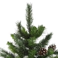 thumbnail image 2 of Northlight Snowy Delta Pine with Pinecones White Tipped Artificial Christmas Tree - 7' - Unlit, 2 of 5