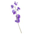 thumbnail image 4 of YSNOOWE Flor Decorativa Violeta De Guisante Para En Bodas Y Hogar, 4 of 7