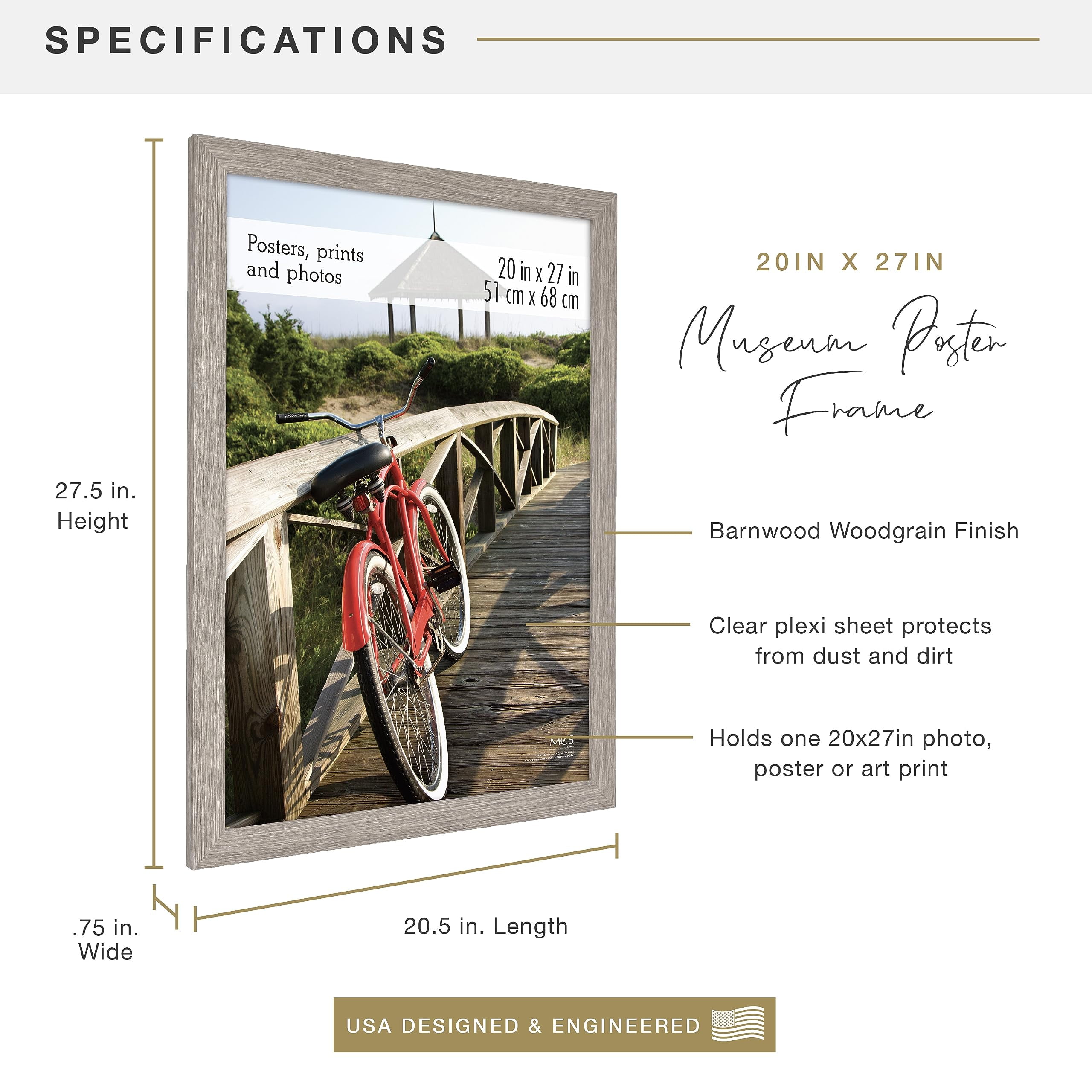 MCS Museum Poster Frame 18x24 Onyx Woodgrain, Vertical & Horizontal Wall Hanging Large Picture Frame for Photos, Posters & Art Prints (1-Pack)