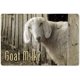 thumbnail image 1 of Letrero de aluminio vintage de metal con texto en inglés "Goat Milk", para decoración de pared, taberna, garaje, pub, bar, tamaño: 12 x 8 pulgadas, 1 of 4