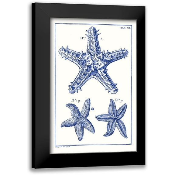 Vision Studio 10x14 Black Modern Framed Museum Art Print Titled - Blue Sea Stars V