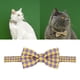 thumbnail image 4 of Adorable collar de gato ajustable con estampado de cuadros Amarillo morado, 4 of 9