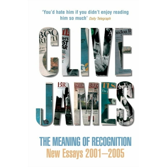 The Meaning of Recognition: New Essays 2001-2005, (Paperback)