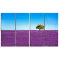 thumbnail image 2 of Lonely Tree in Lavender Field, 2 of 3