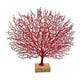 thumbnail image 3 of Resina Coral Escultura Adorno de Decoración Estatuilla de rojo, 3 of 7