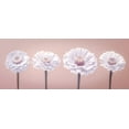 thumbnail image 2 of Frank, Assaf 24x12 White Modern Wood Framed Museum Art Print Titled - Four Zinnias in a row, FTBR-1900, 2 of 4