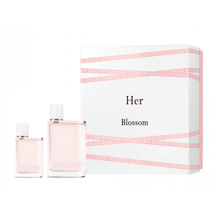 burberry gift set for her