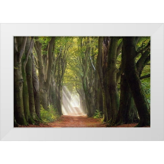 Borggreve, Ellen 24x17 White Modern Wood Framed Museum Art Print Titled - A Glorious Day