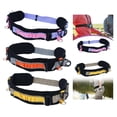thumbnail image 2 of Multifunctional Camera Waist Belt with Quick-Release Mount for DSLR & Mirrorless – Adjustable Photography Harness for Hiking, Cycling, Fishing & Outdoor Adventures, 2 of 7