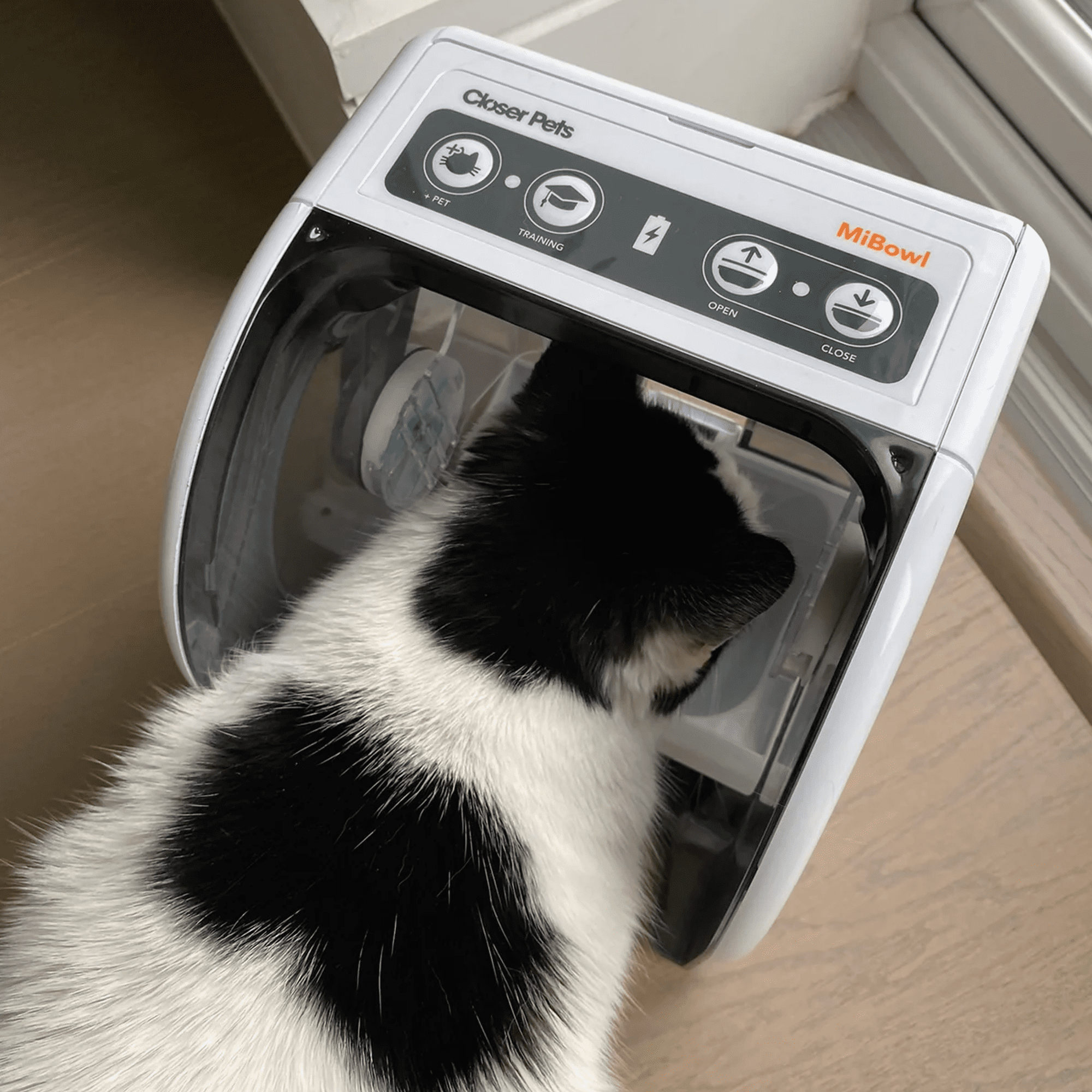 MiBowl Automatic Microchip Cat Feeder with BPA Free Bowl, Enclosed Back, and Collar Worn ID Disc