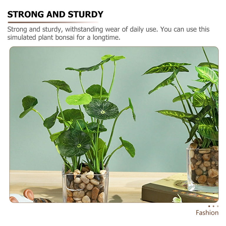 planting nicotiana seeds Compact and Resilient Nicotiana Hybrid F1 Blue Seeds for Pots – The Farm  Dream main image 1