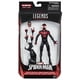 thumbnail image 2 of Serie Marvel Legends: Villanos de la noche: Morbius Spider-Man 787799198452, 2 of 2